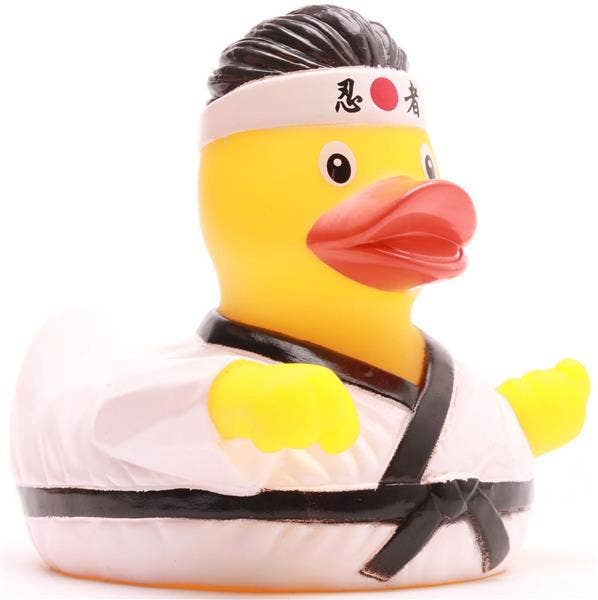 Karate Duck