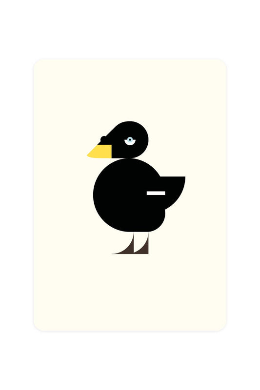Postcard with large sea duck