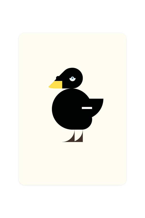 Postcard with large sea duck