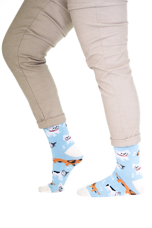 Dog Socks