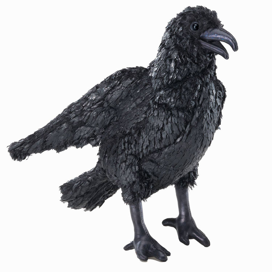 Corvo
