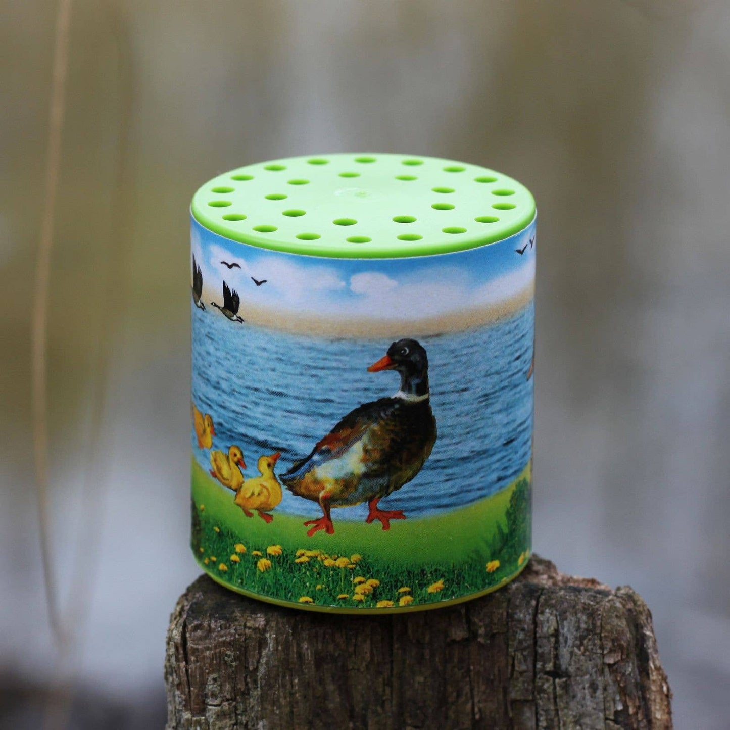 Animal Sound Box - Duck
