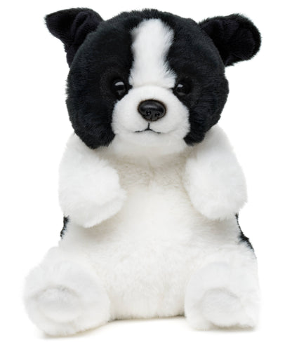Kawaii sitting Border Collar plush toy
