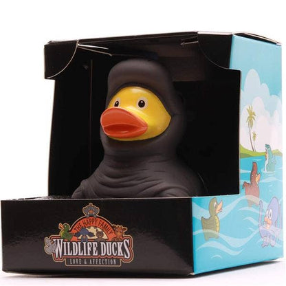 Canard rhinocéros