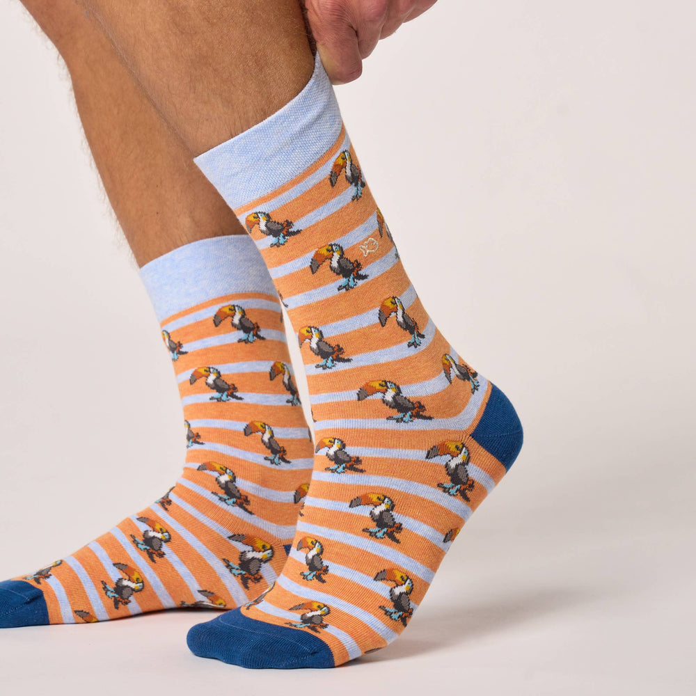 Chaussettes en Coton Peigné Animaux - Toucan