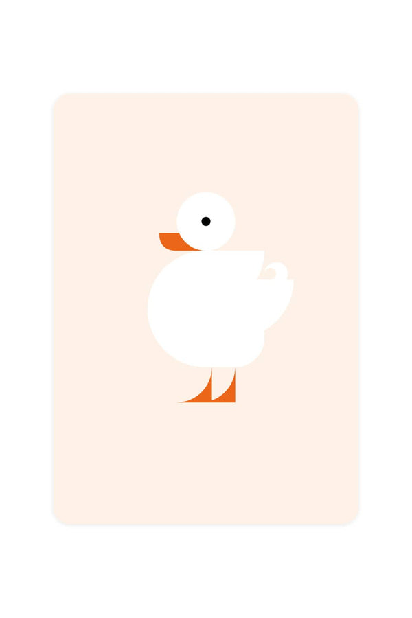Postcard with White Quack
