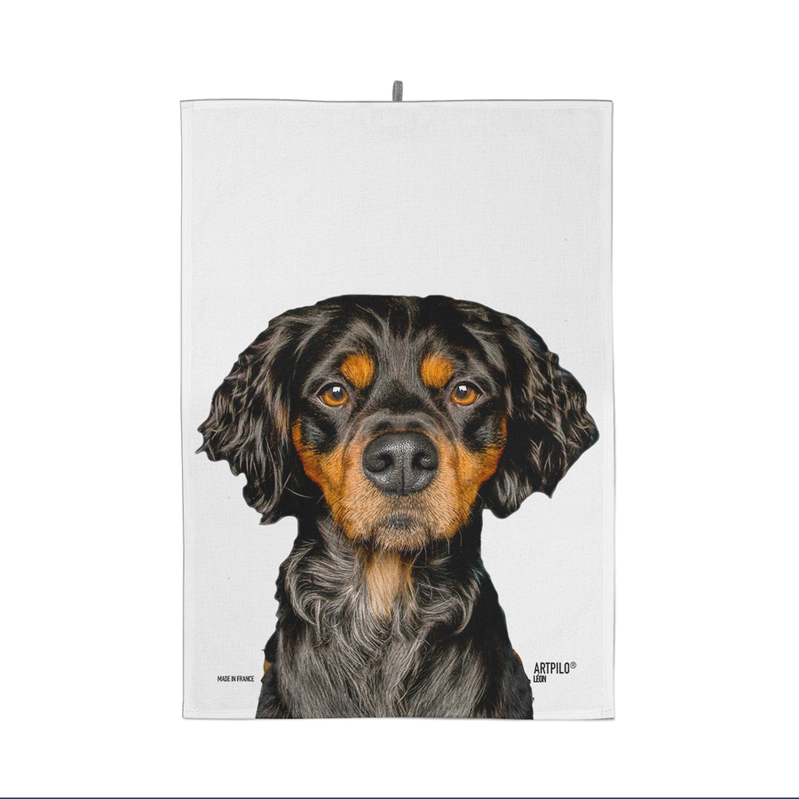 Setter Gordon