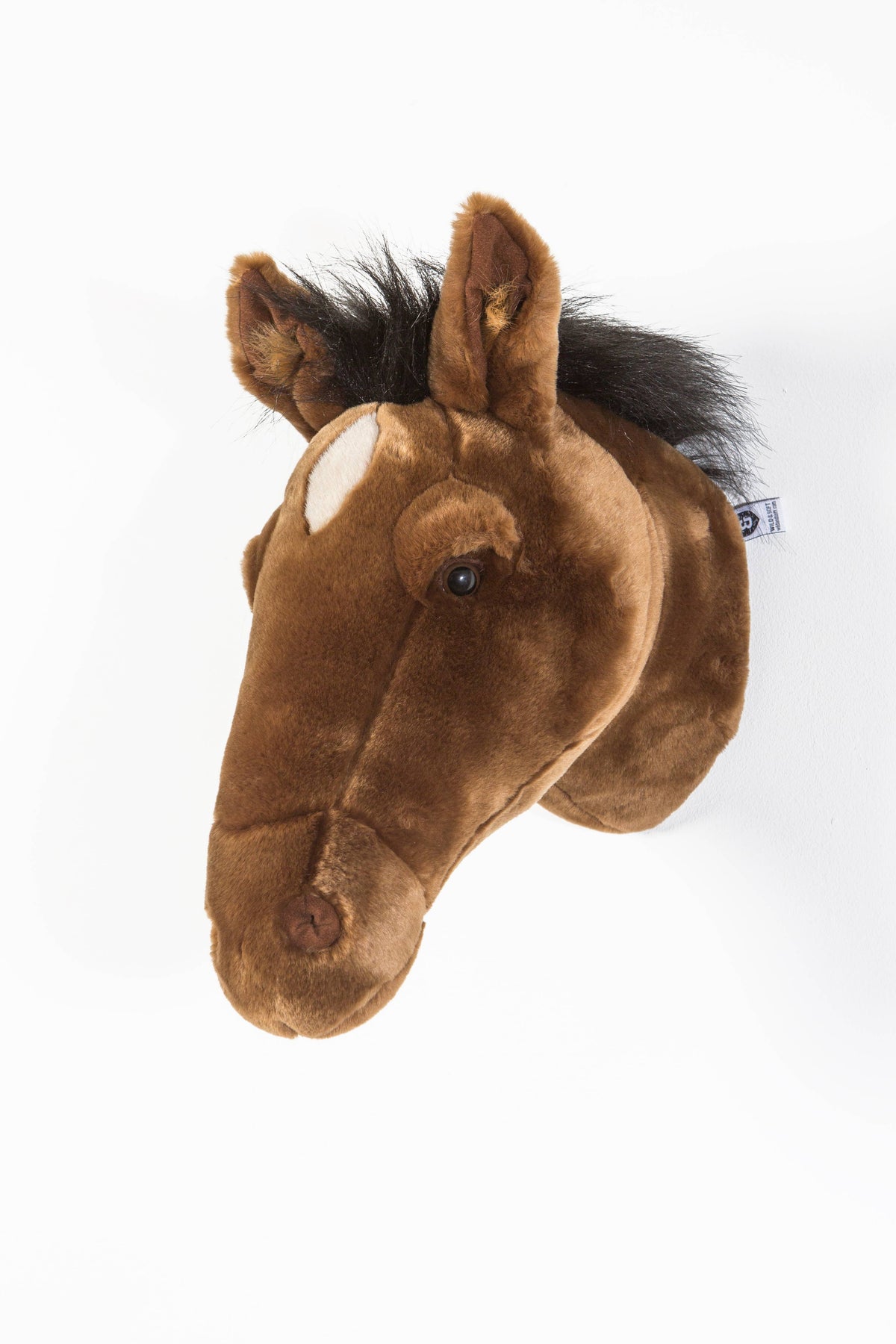 Scarlett il cavallo marrone