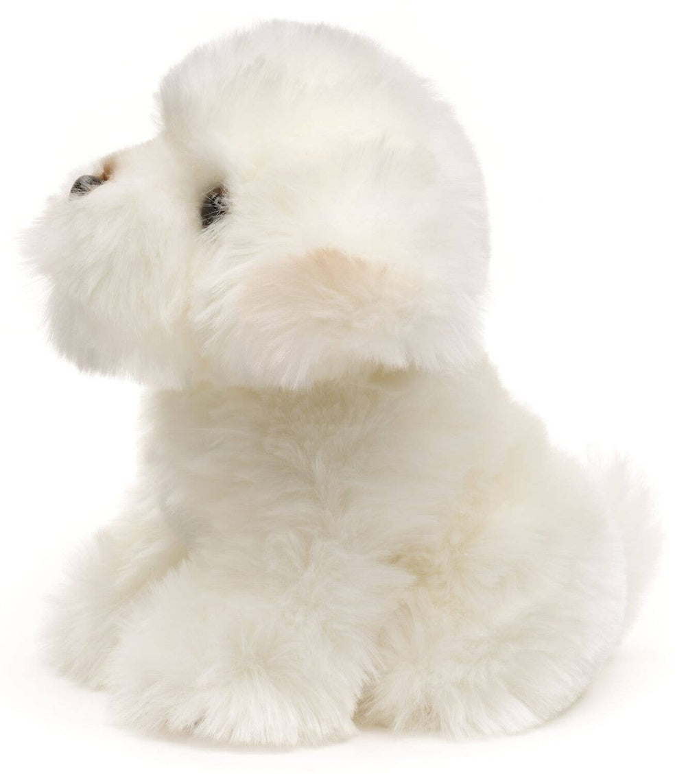 Peluche Chien Maltais