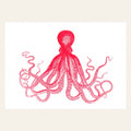 Red Octopus Postcard