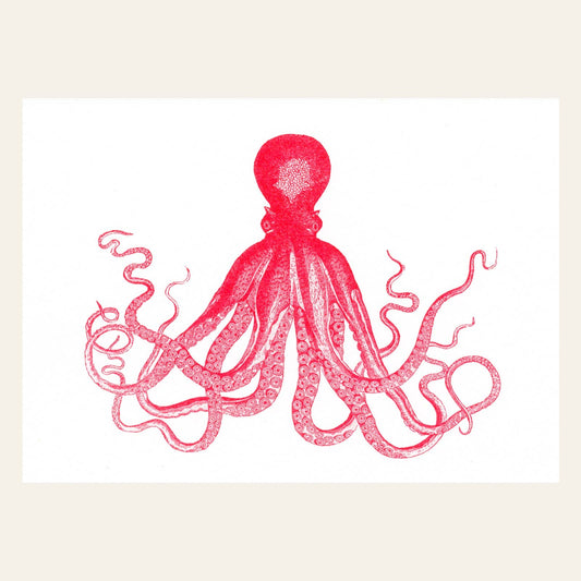 Red Octopus Postcard
