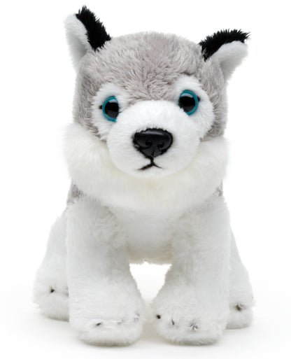 Peluche Husky Assis