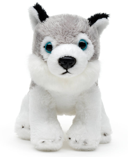 Peluche Husky Assis