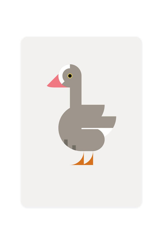 Postcard with a Lesser White-fronted Goose