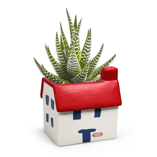 Coastal Beach Holiday House-Shaped Ceramic Flower Pot