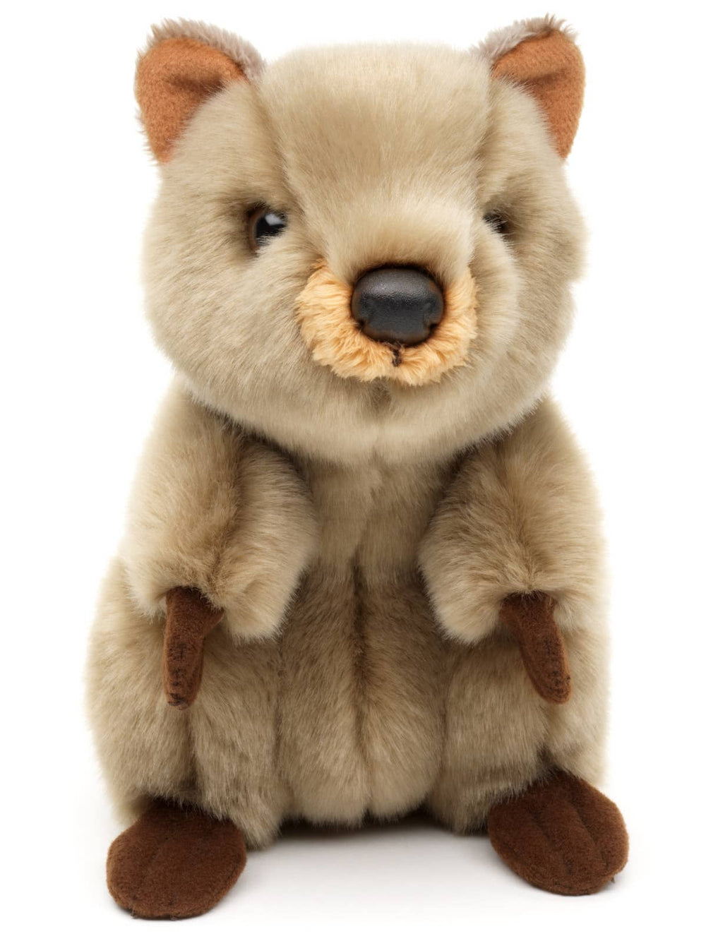 Peluche Quokka