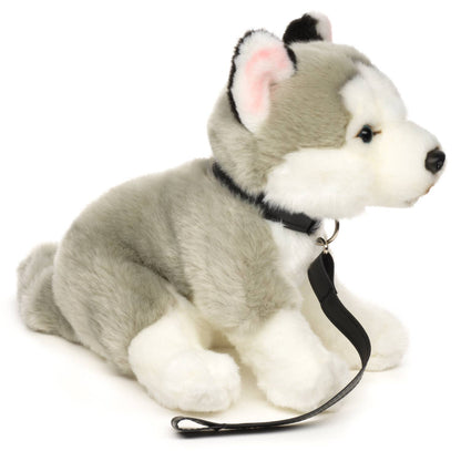 Peluche Husky gris, assis (avec laisse)
