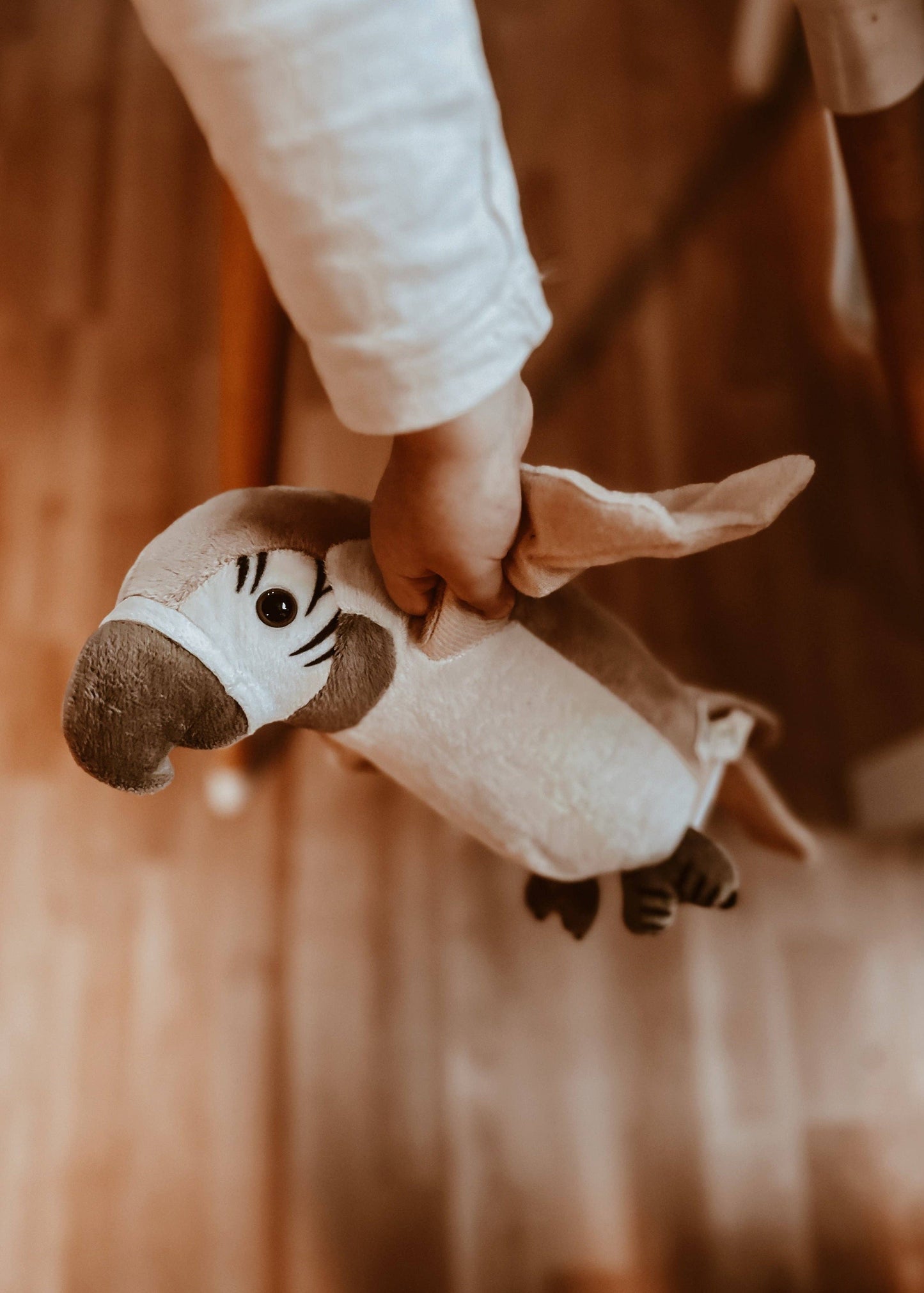 Pierre - the Talking Parrot - Bare