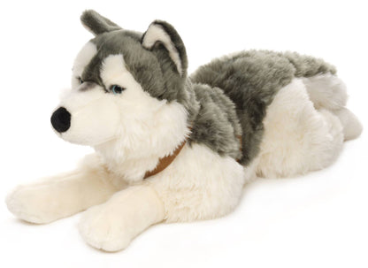 Husky plush toy, lying down (with harness)
