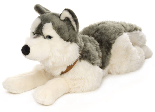 Peluche Husky, couché (avec harnais)