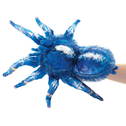 Marionnette à main Tarentule bleue/Tarentule bleue 3222 Folkmanis réaliste