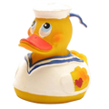 Sea Duck