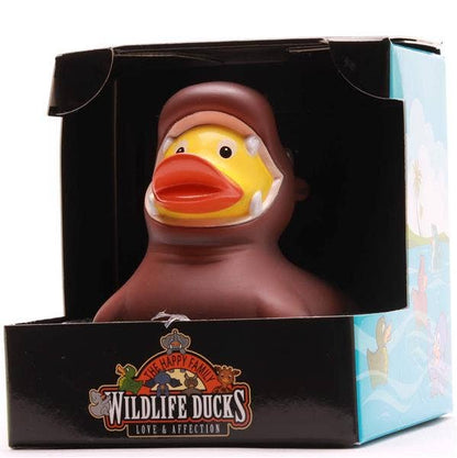 Canard Hippopotame
