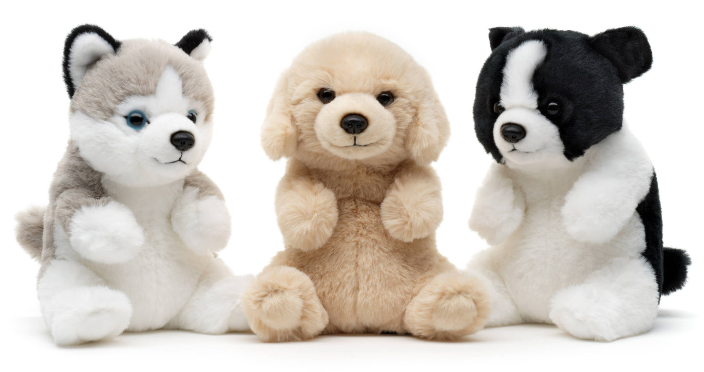 Kawaii sitting Border Collar plush toy