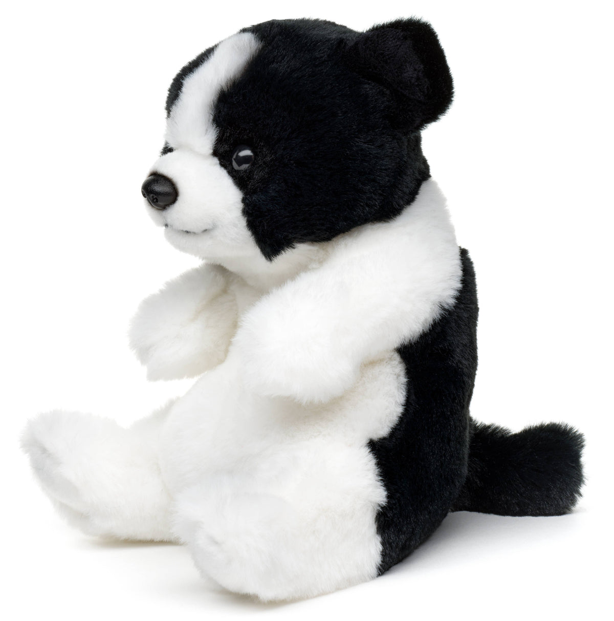 Peluche border collie assis