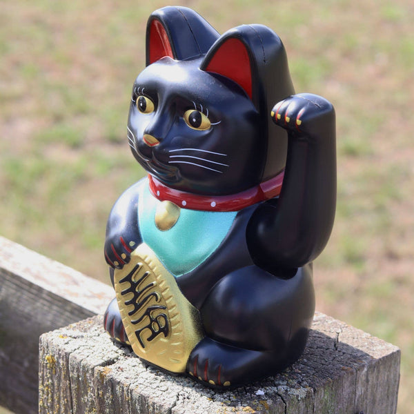 Lucky black cat 15cm