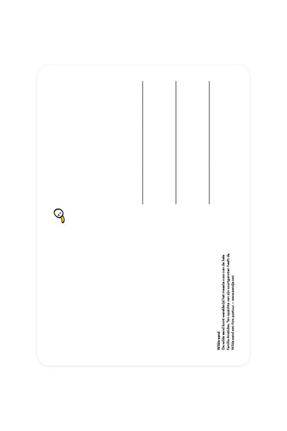 Carte postale avec Canard colvert