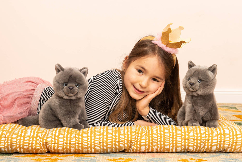 Plüsch Chartreux-Kätzchen Sitzend