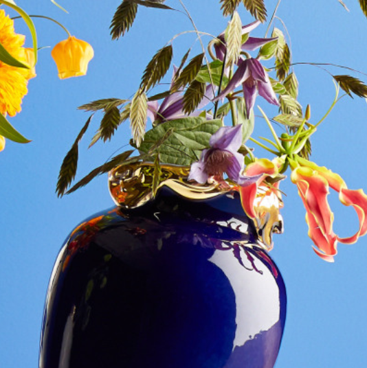 Mon super héros Blue Gold – Jasmin Djerzic – vue 5