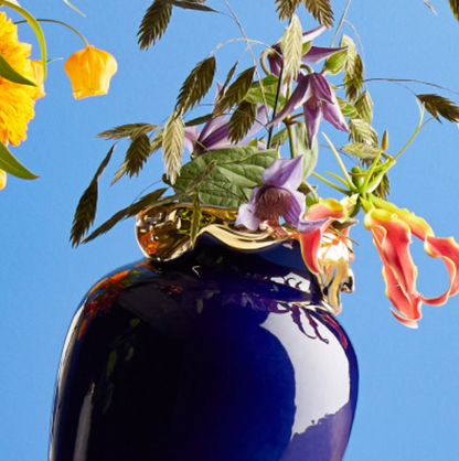 Mon super héros Blue Gold – Jasmin Djerzic – vue 5