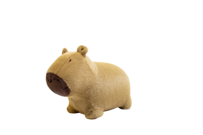 Soft and bouncy capybara