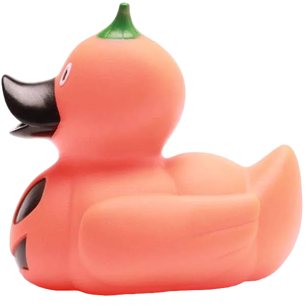 Halloween Pumpkin Duck