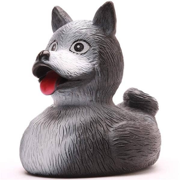 Sibirischer Husky