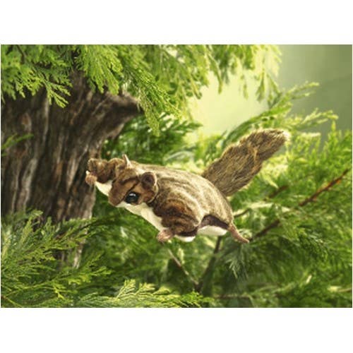 Marionnette à main Écureuil volant 2580/ Écureuil volant Folkmanis réaliste