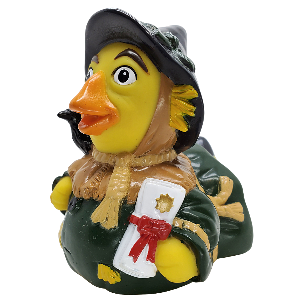Scarecrow Duck