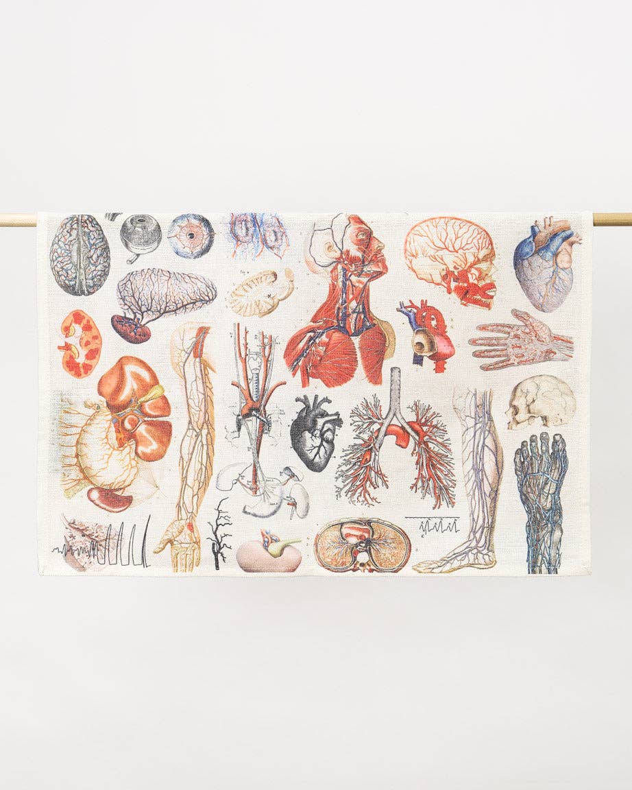 Strofinaccio anatomico