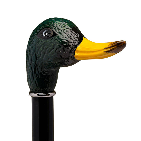 Duck Mallard