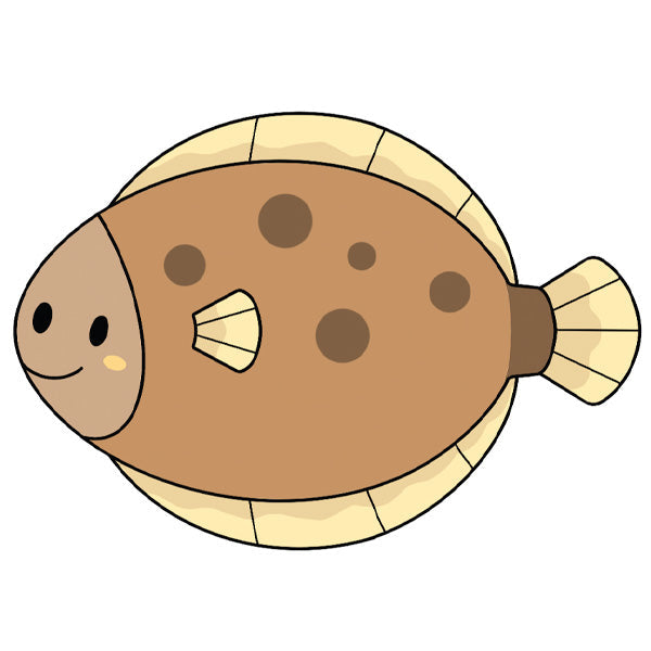 European Flounder