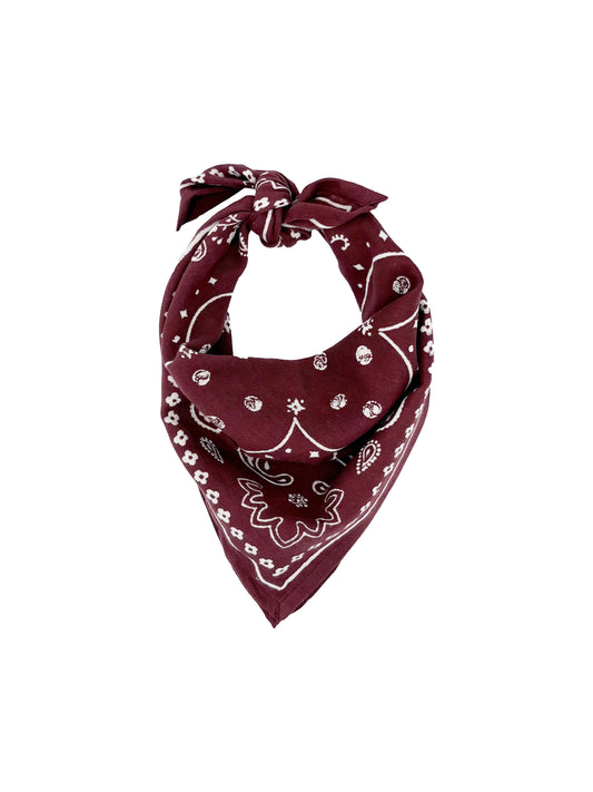 Small scarf - OSCAR