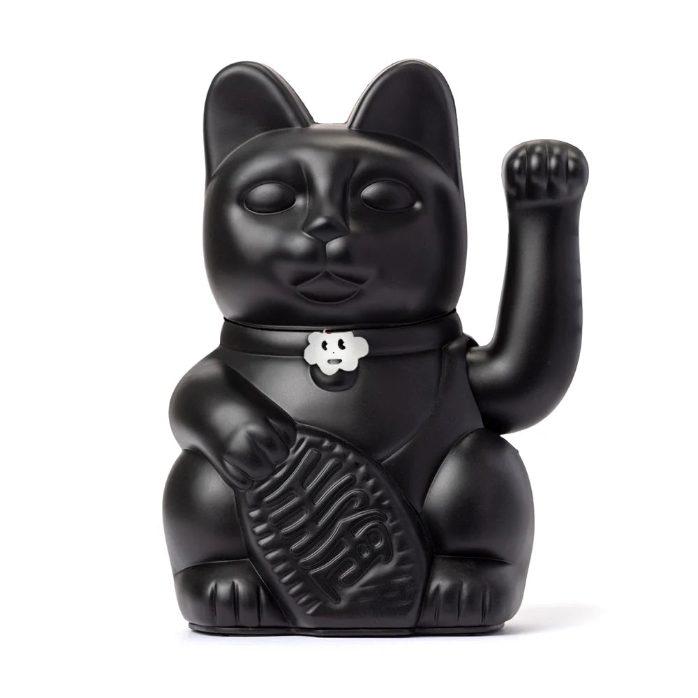 Lucky black cat
