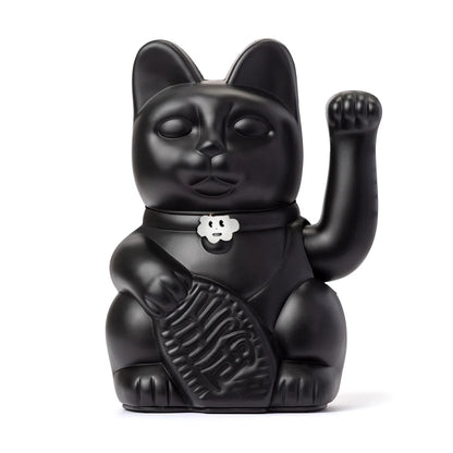 Lucky black cat