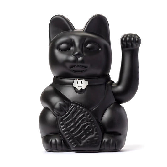 Lucky black cat