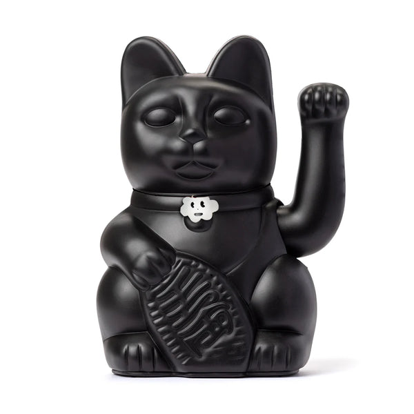 Lucky black cat