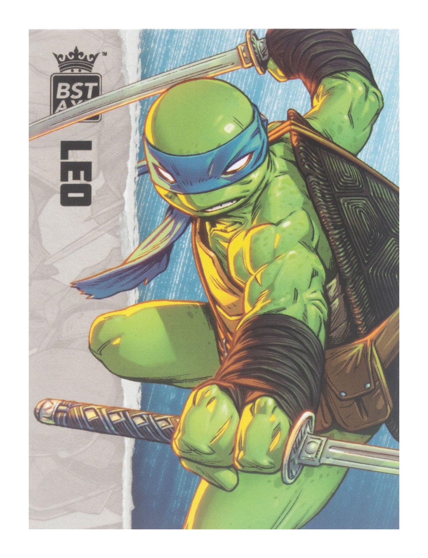 BST AXN Leonardo (IDW Comics) 