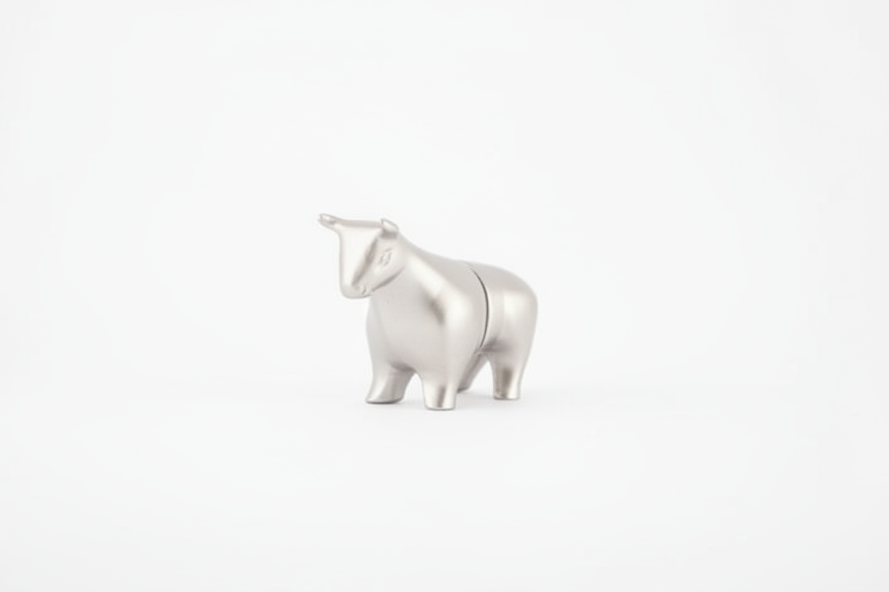 Taurus Magnetic Photo Holder