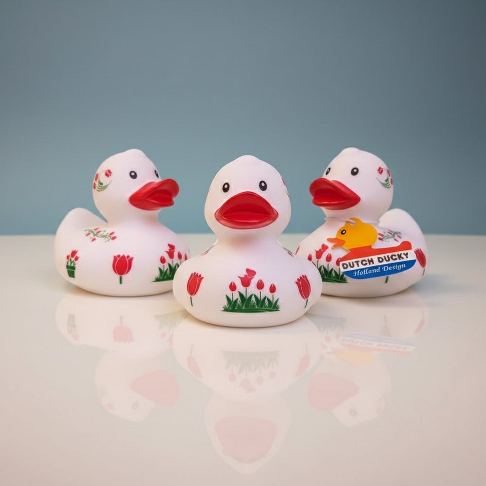 Tulipani olandesi Duck